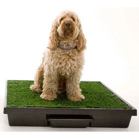 Pet Loo Potty Training System Pet Loo Potty Training System